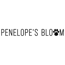 Shop Penelope's Bloom