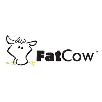 FatCow promos and coupon codes
