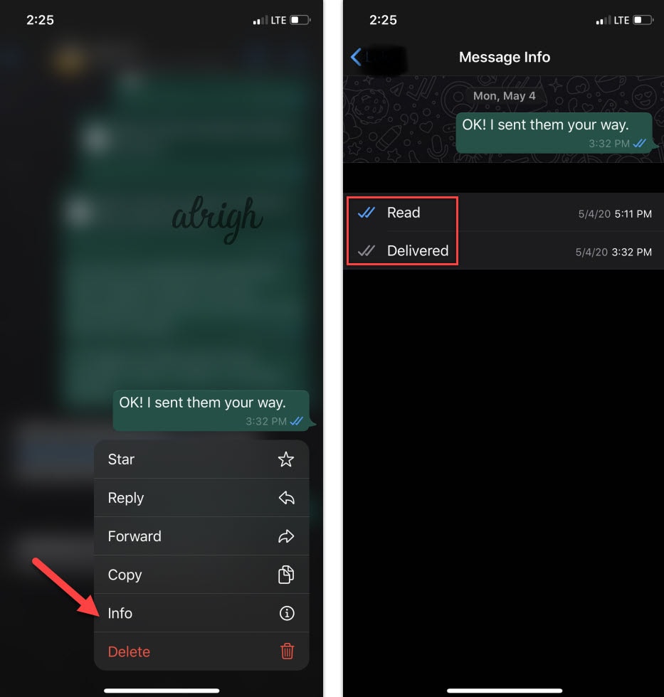 Check message info to verify WhatsApp delivery and read receipts on iOS