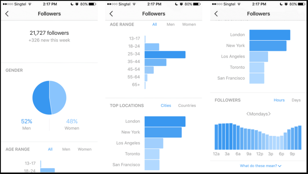 Instagram Stalkers Insights & Analytics