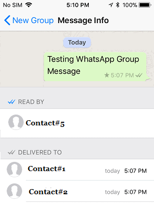 WhatsApp tick meaning in group chats