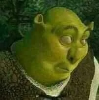 Shrek meme profile picture