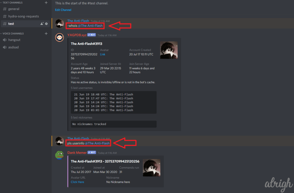 Download Discord Profile Picture with Bot Commands 2