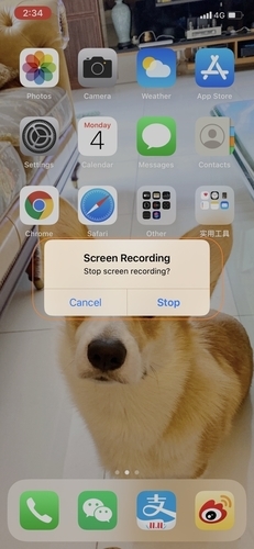 Record WhatsApp Video Call on iPhone Step 5