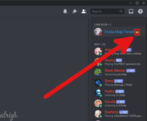 Find whos in charge of the Discord server 2