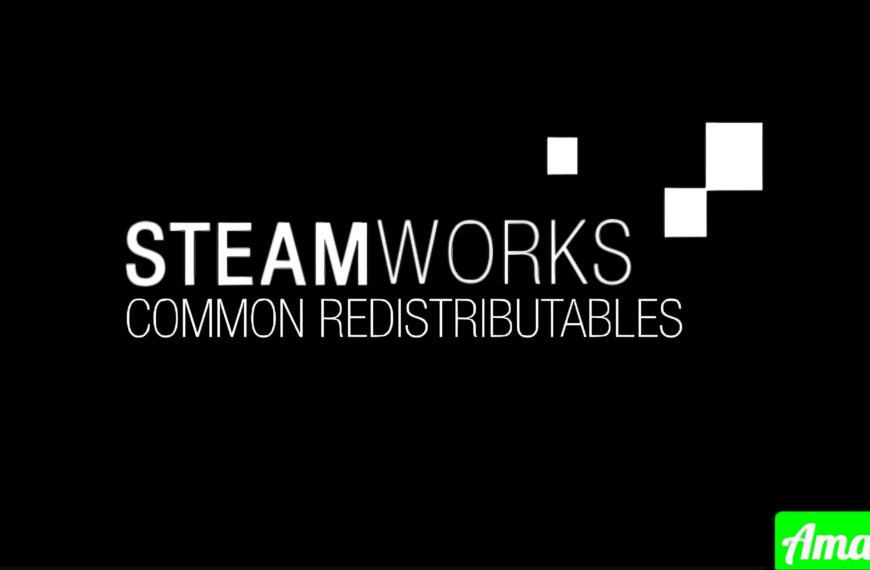 What is The Steamworks Common Redistributables