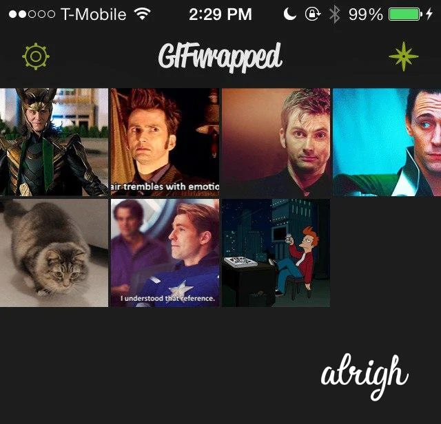 Use GIFwrapped to Save Twitter GIFs on Iphone